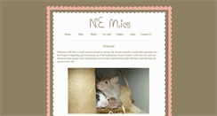 Desktop Screenshot of nemice.com